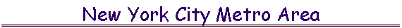  New York City Metro Area 